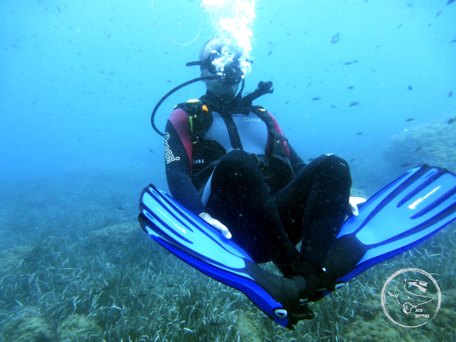 Curso SSI Advanced Adventure en Águilas